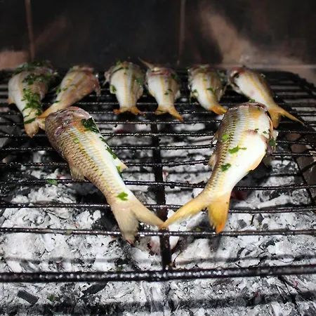 Apartamento A Vacation That Becomes A Dream *