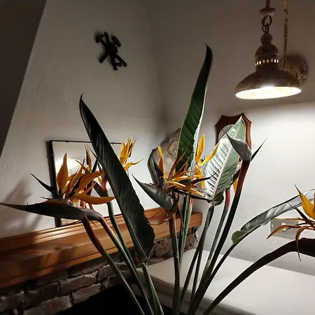 Apartamento A Vacation That Becomes A Dream Marina di Arbus