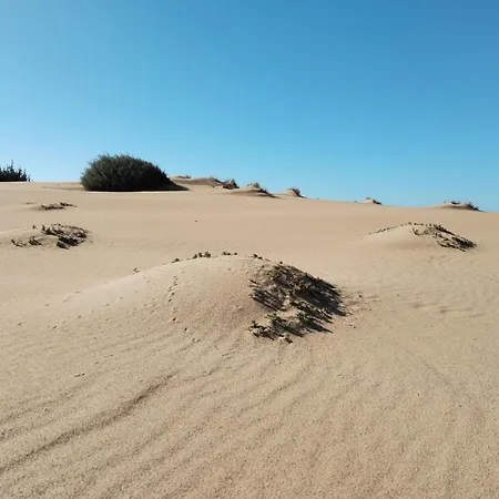 A Vacation That Becomes A Dream *