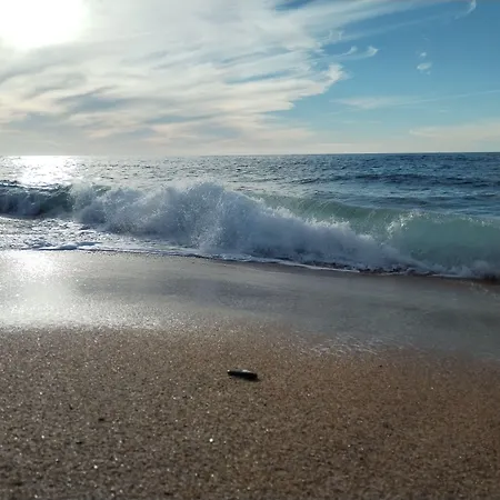 A Vacation That Becomes A Dream Marina di Arbus